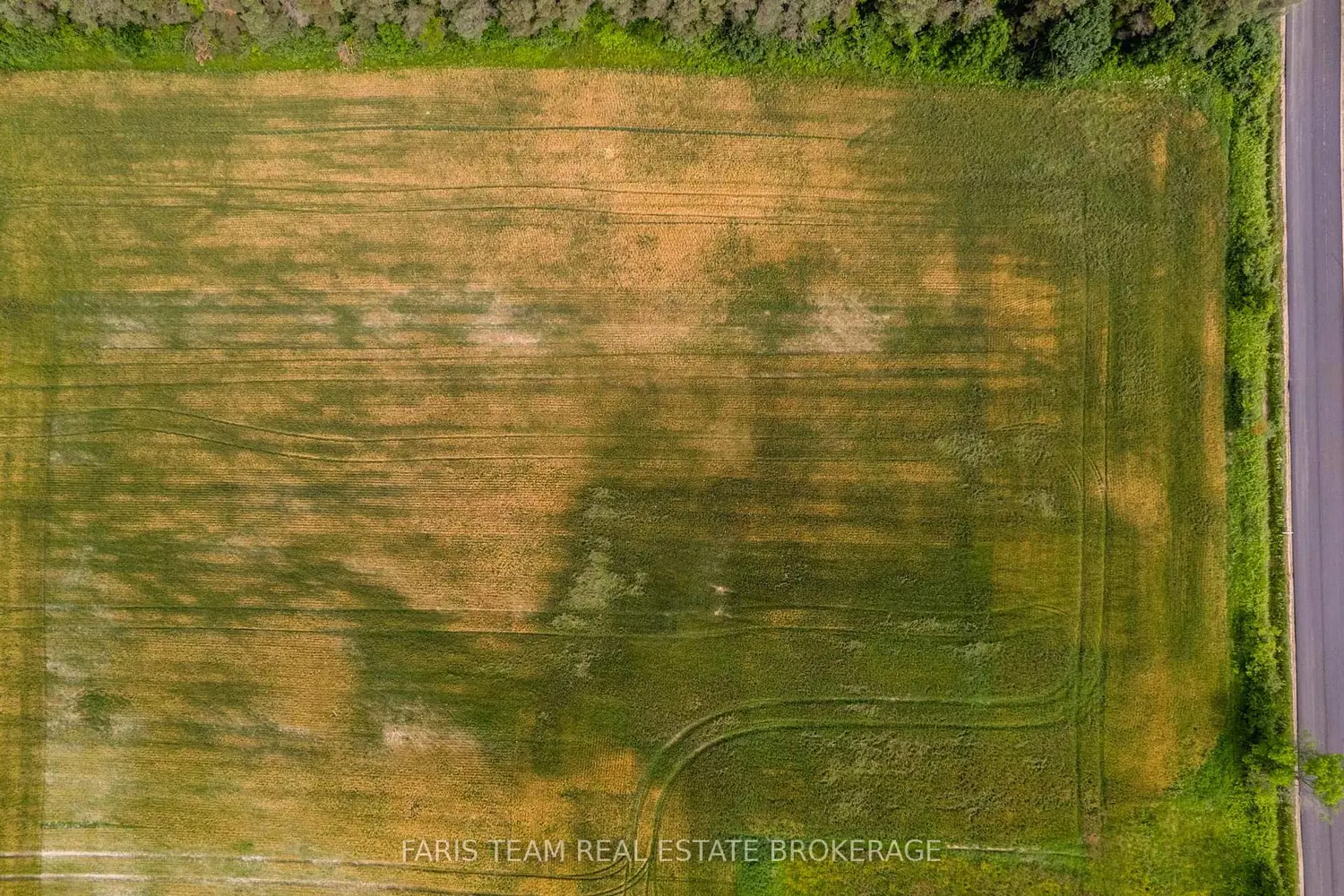 Additional image 9 of 584 Curry Road