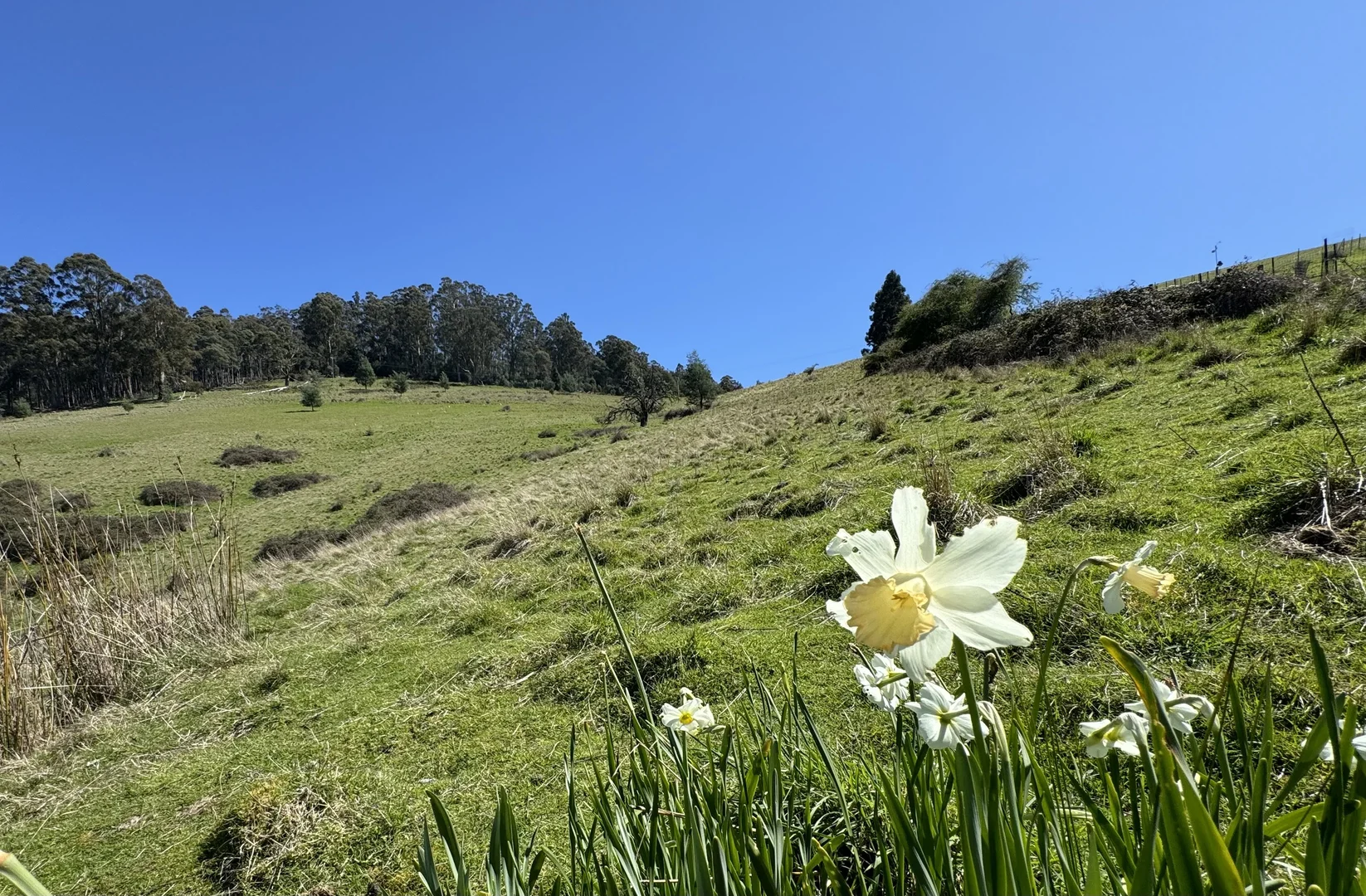 Additional image 17 of Lot 1 Walpole Lane, Franklin TAS 7113