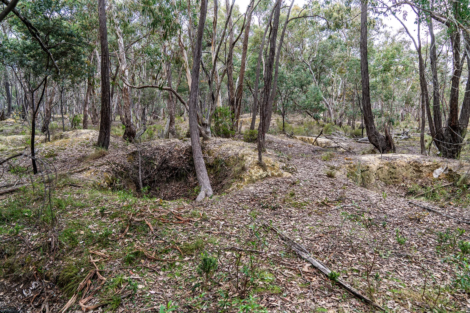 Additional image 13 of 125 Dirt Hole Creek Road, Mudgee NSW 2850