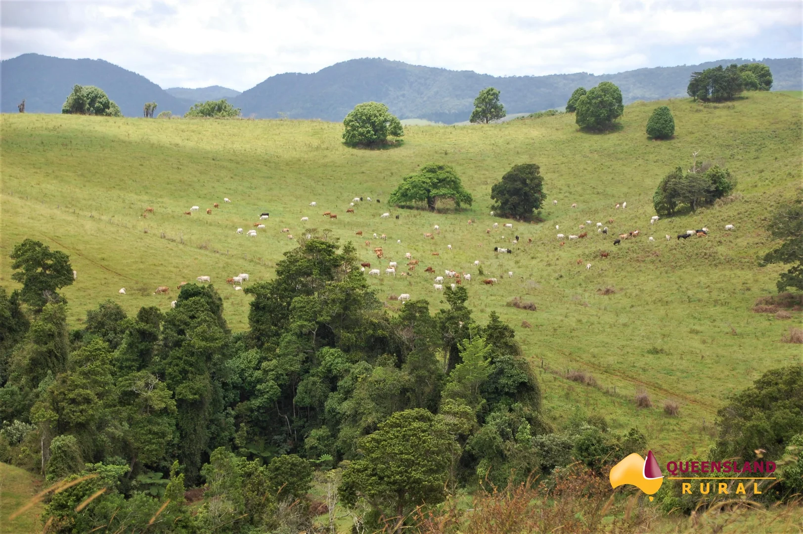 Additional image 4 of Tarzali QLD 4885