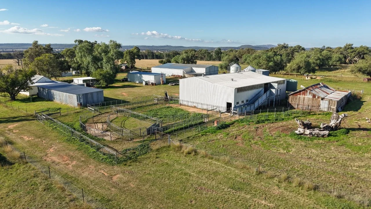 Additional image 41 of 3761 Neilrex Road, Neilrex NSW 2831