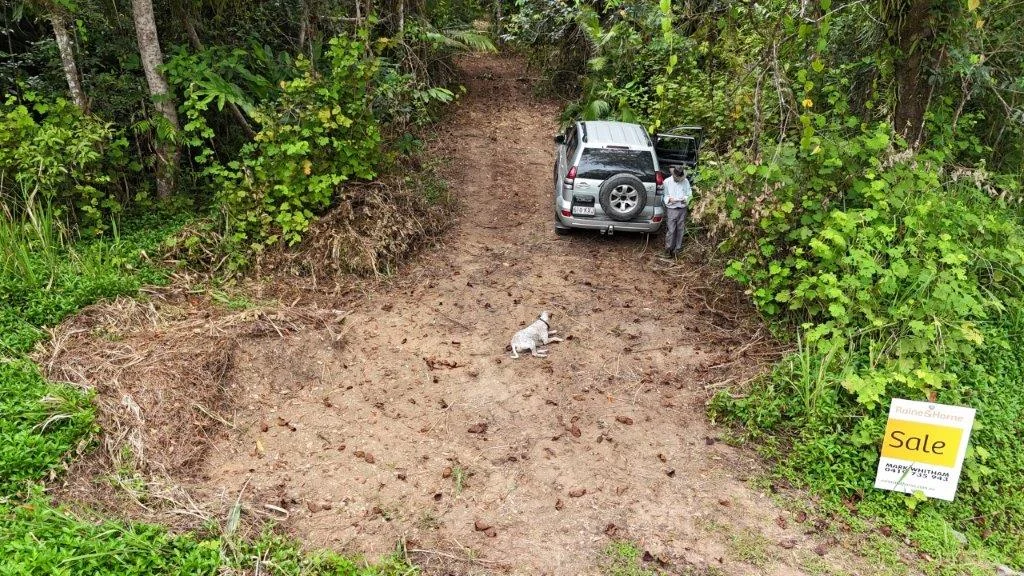 Additional image 17 of Lot 81 Cape Tribulation Road, DIWAN,, Daintree QLD 4873