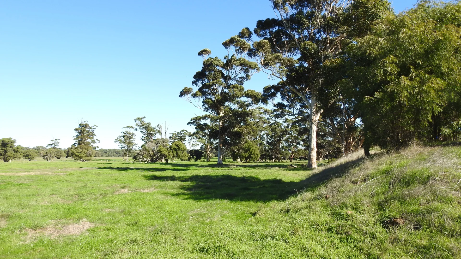 Additional image 6 of Calgardup Road, Forest Grove WA 6286