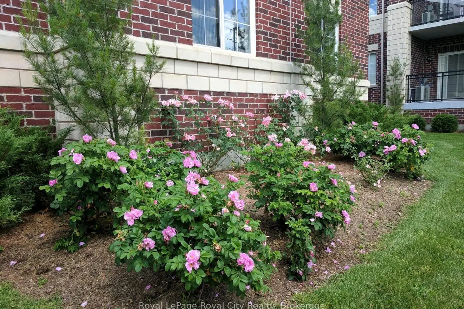 Additional image 17 of 1440 Gordon Street 122