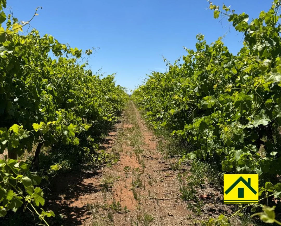 Additional image 2 of 231 Falkiner Avenue, Tresco VIC 3583