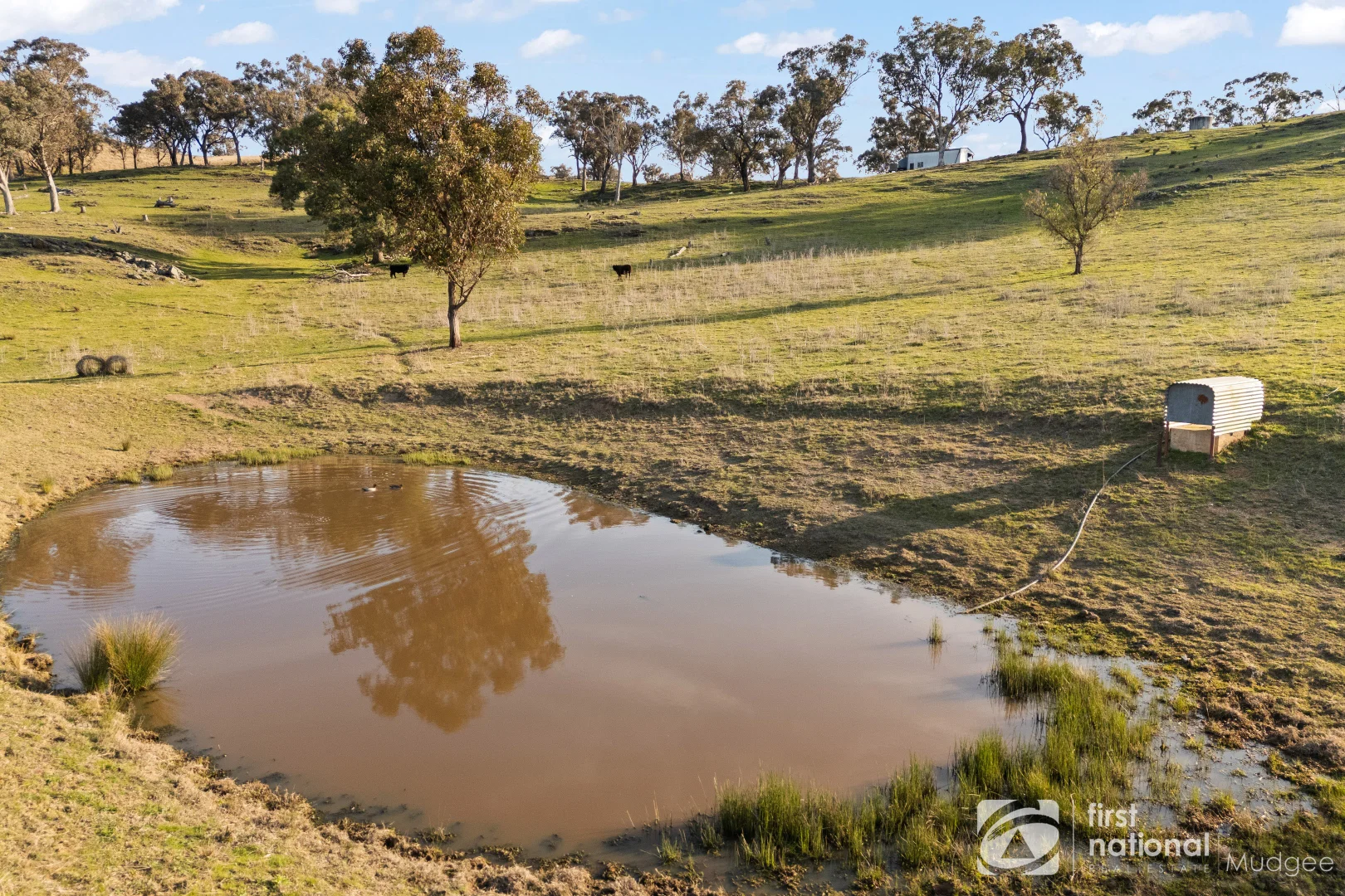 Additional image 22 of 2654 "Moonshine", Lue Road, Lue, Mudgee NSW 2850