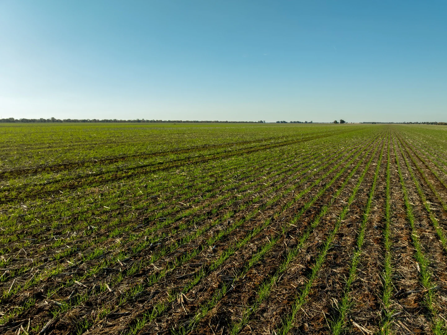 Additional image 6 of 609 Barragunda Road, Urana NSW 2645