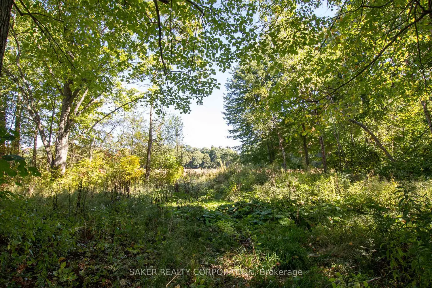 Additional image 10 of 22480 Troops Road