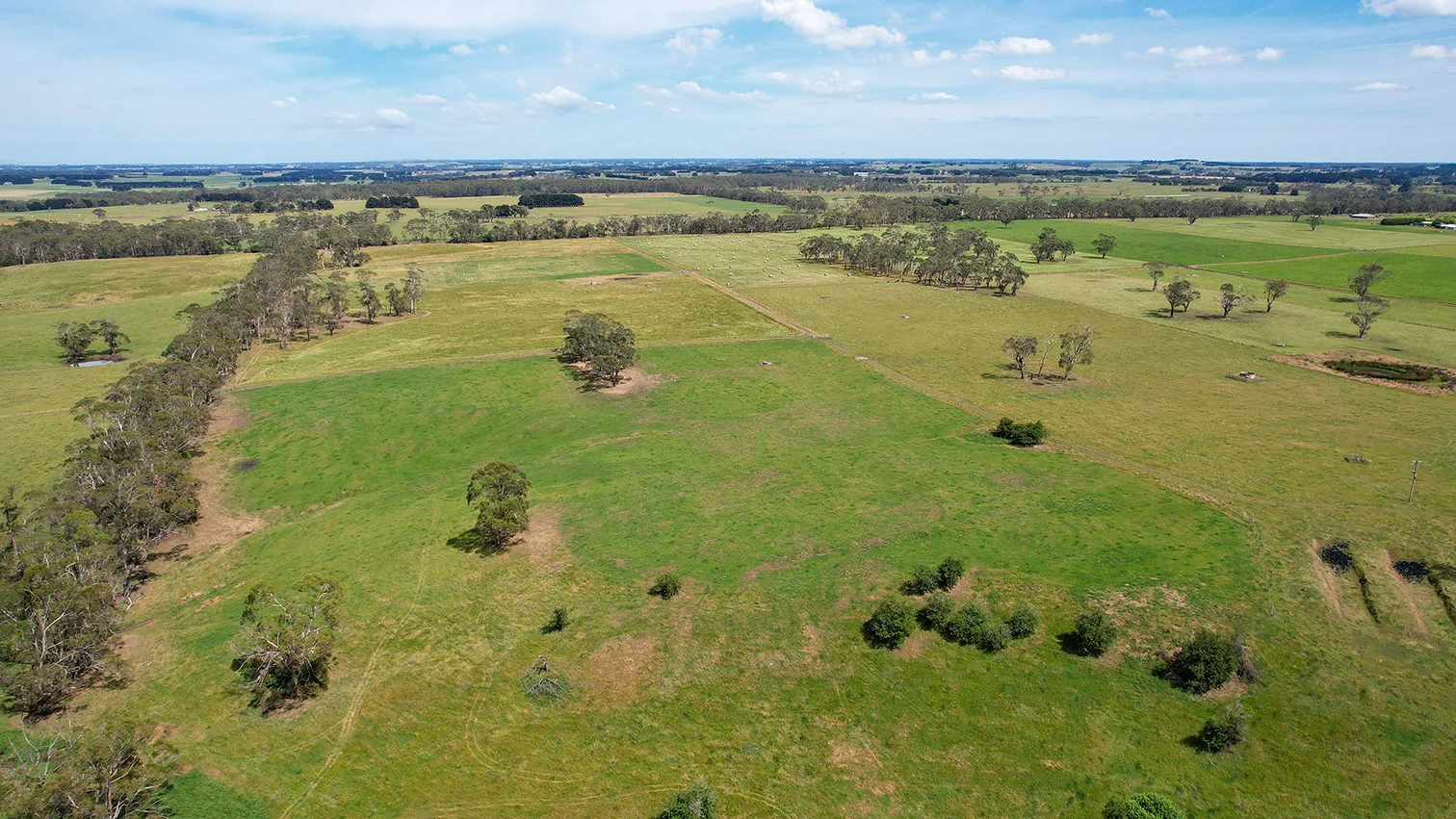 Additional image 19 of 211 Rollos Road, Panmure VIC 3265