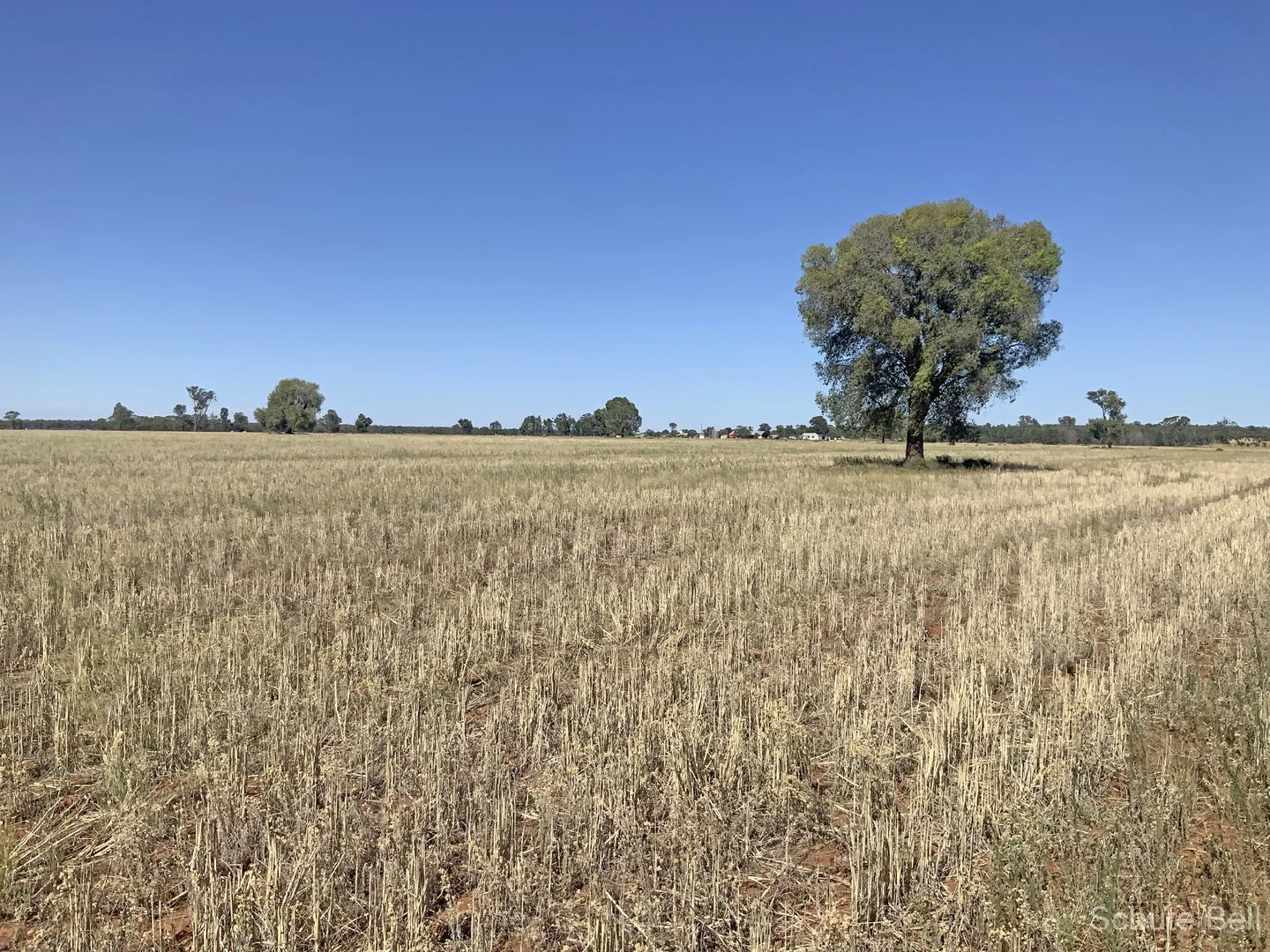 Additional image 7 of 703 Yethera Road, Tullamore NSW 2874