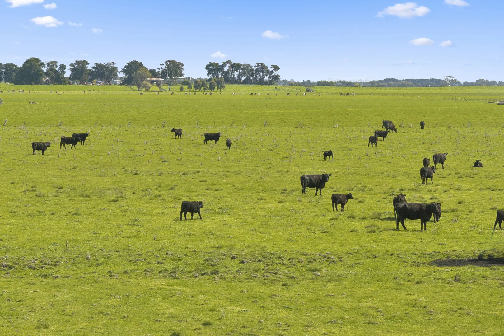 Additional image 22 of 620 Larpent Rd, Larpent VIC 3249