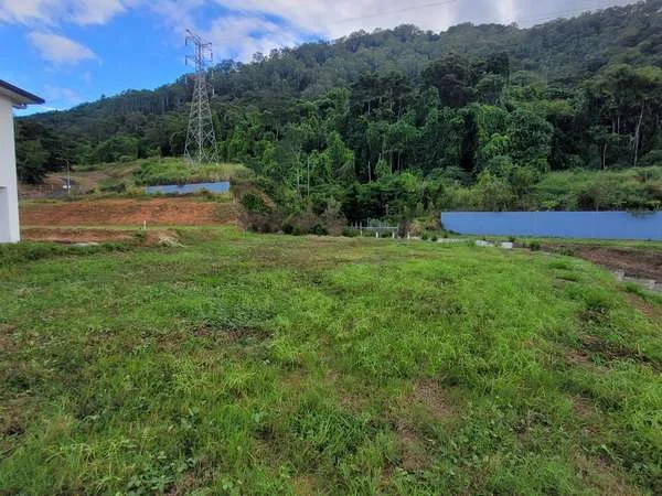 Additional image 6 of 21 Drummer St, Kanimbla QLD 4870