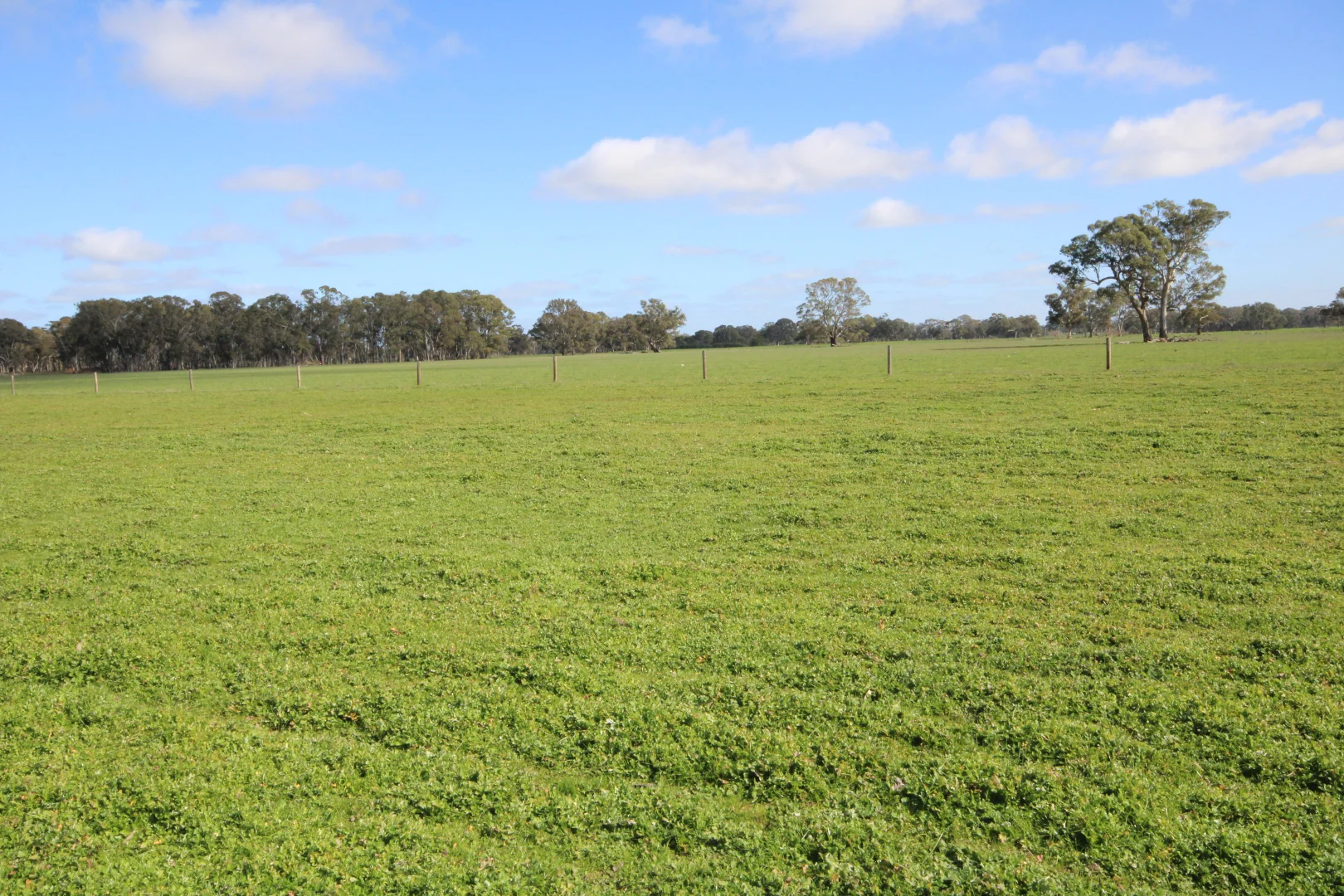 Additional image 20 of 202 Malones Road, Naracoorte SA 5271