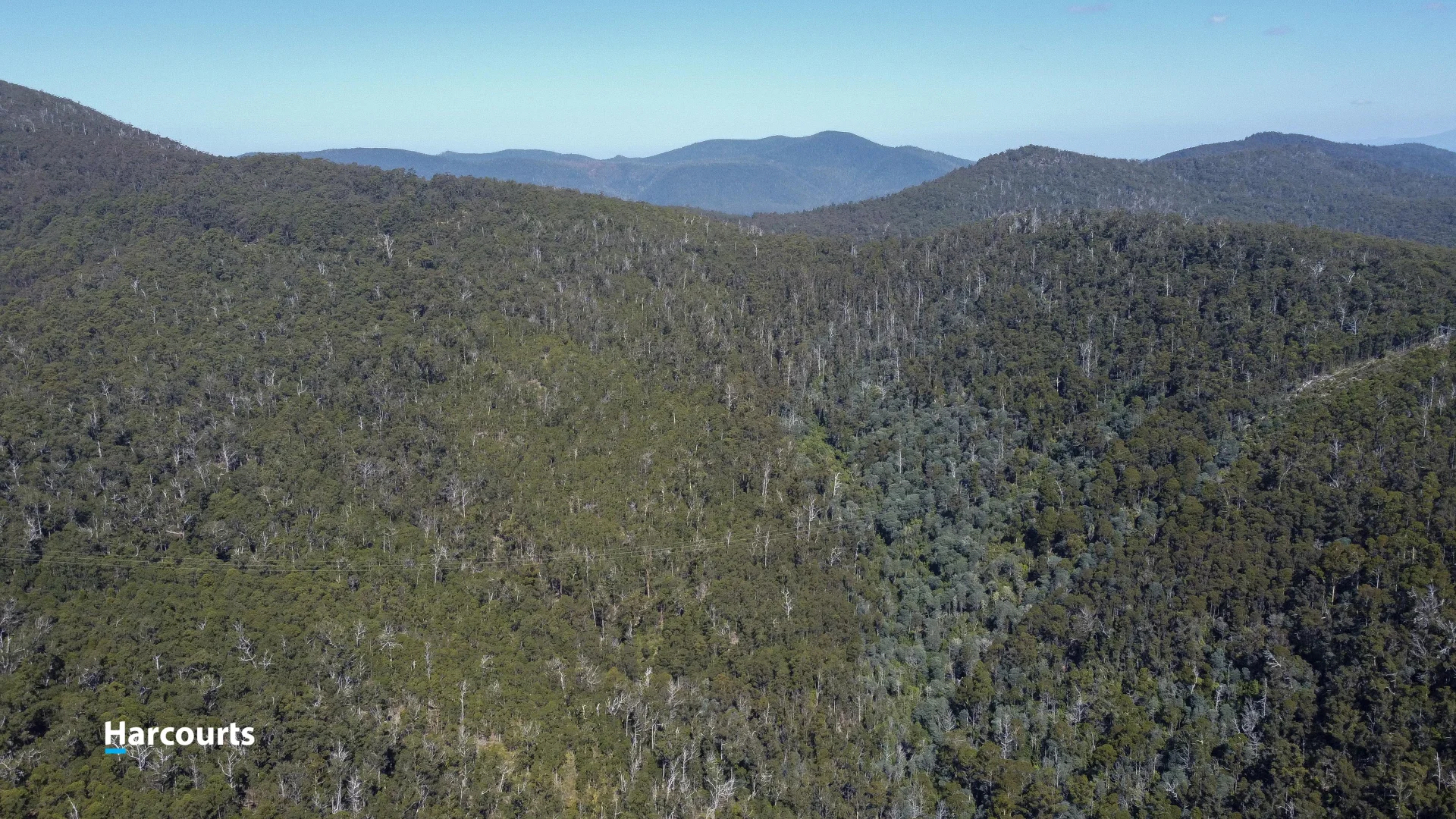 Additional image 25 of RA Basin Road, Grove TAS 7109