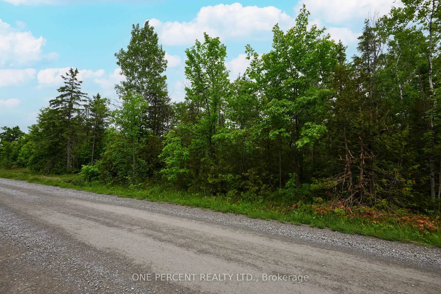 Additional image 5 of 622 Kings Creek Road