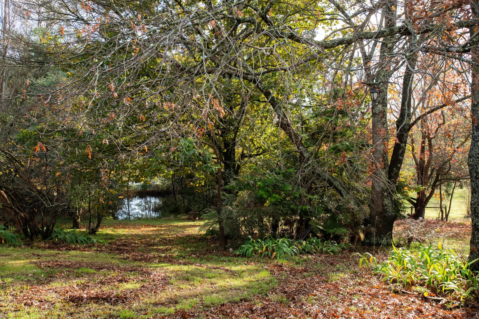 Additional image 20 of 13 Morrison Street, Kimberley TAS 7304