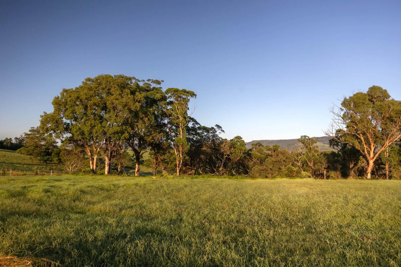 Additional image 10 of Lot 103, E299A Princes Highway (via Milton), Yatte Yattah NSW 2539