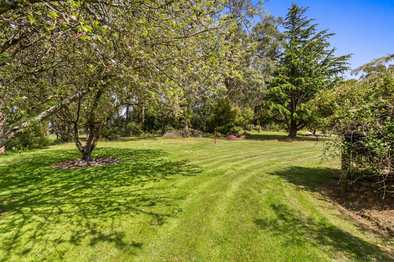 Additional image 19 of 345 Mt Lyall Road, Nyora VIC 3987