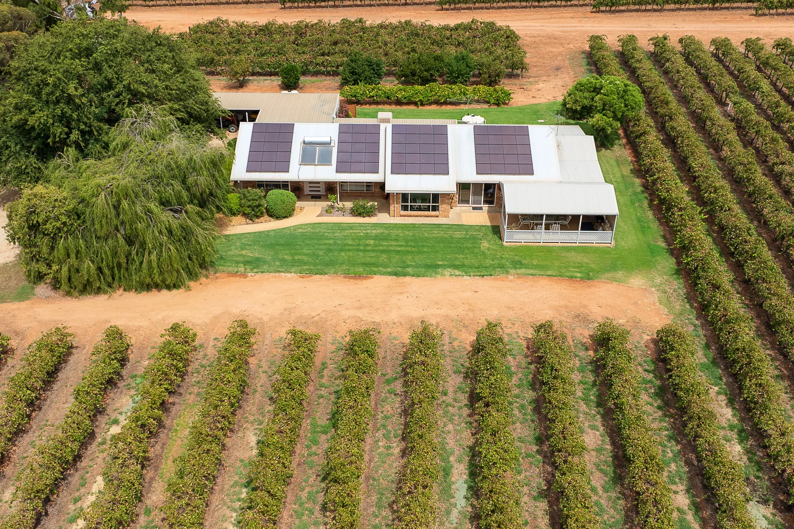 Additional image 7 of 17324 Sturt Highway, Barmera SA 5345