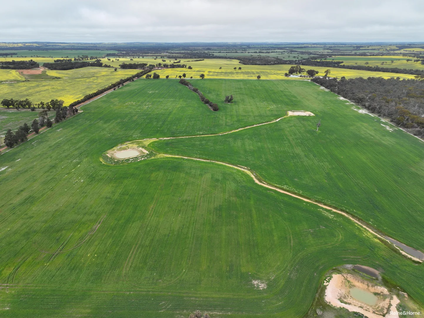 Additional image 30 of 124 Highbury East Road, Highbury WA 6313