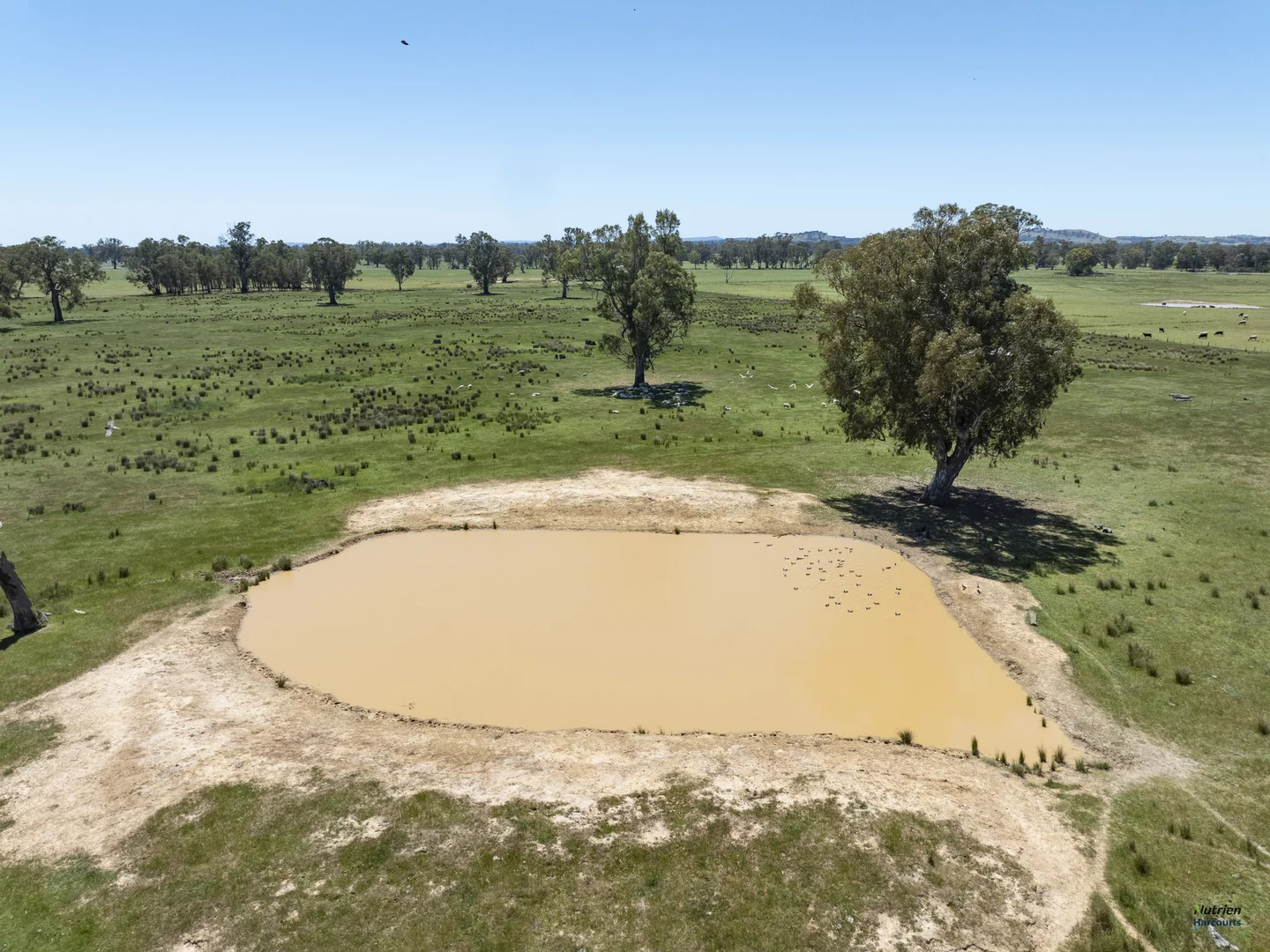 Additional image 18 of 12 Knight Road, Benalla VIC 3672