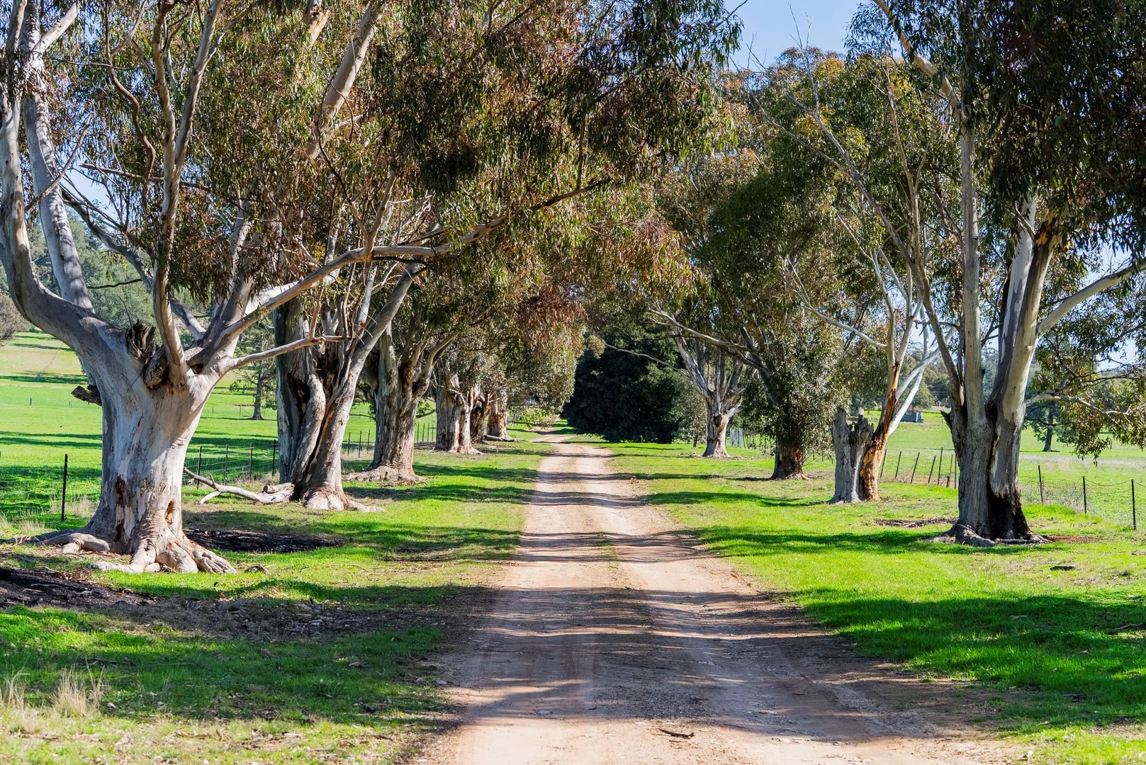 Additional image 23 of 945 The Gap Road, Wagga Wagga NSW 2650