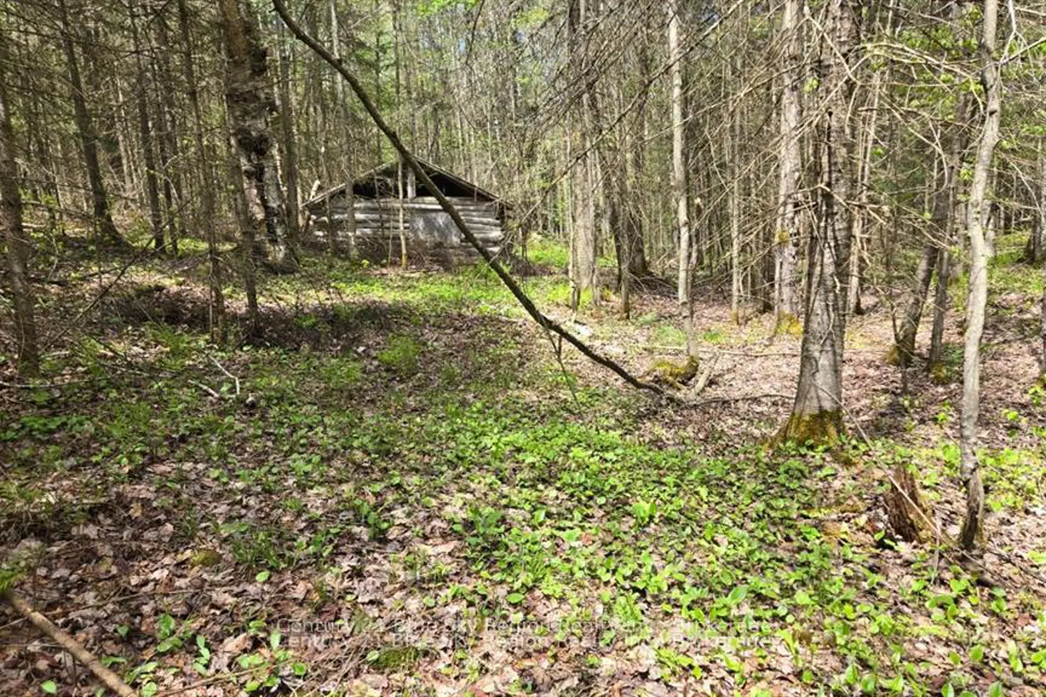 Additional image 7 of Pt Lt 10 Con 16 Village Road