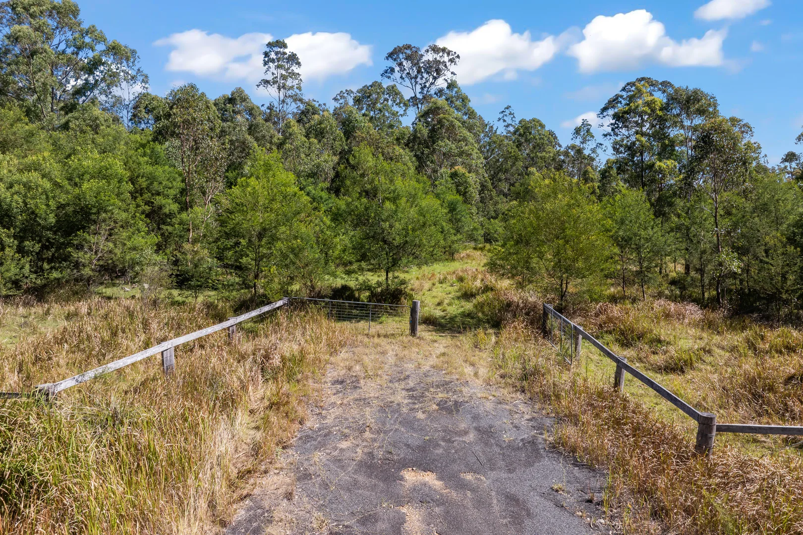 Additional image 5 of 97 Long Gully Road, Drake NSW 2469