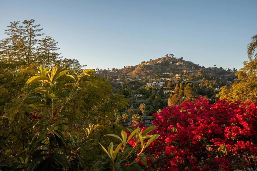 Additional image 127 of 9802 Lyncarol Dr, La Mesa, CA 91941