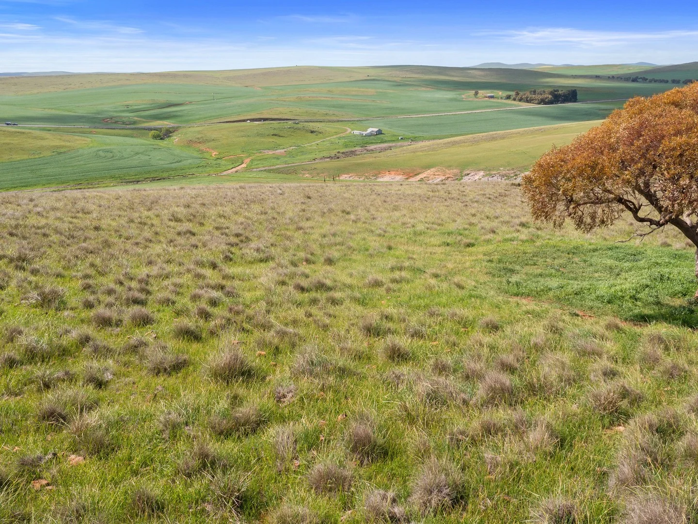 Additional image 9 of 2489 R M Williams Way, Spalding SA 5454