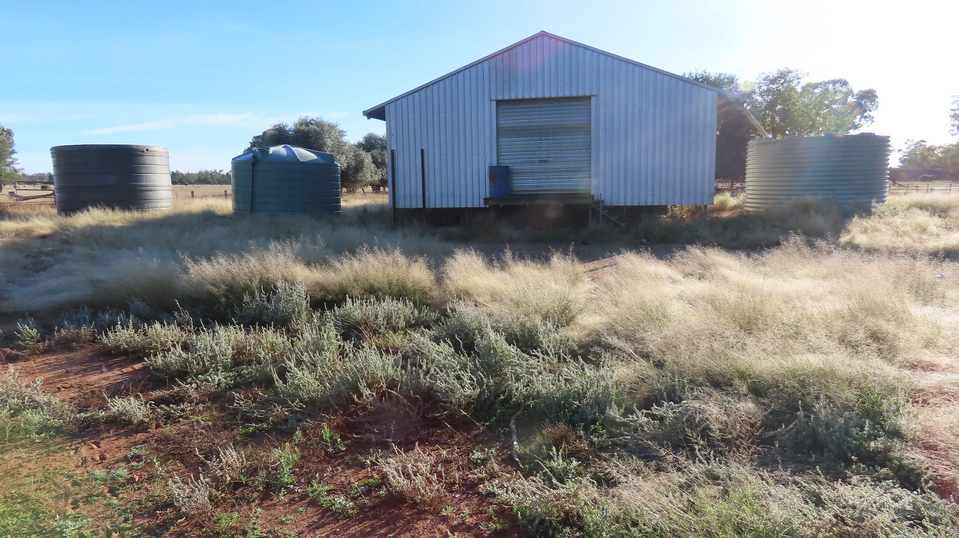 Additional image 12 of Mirreyah Feedlot Talwood Mungindi Road,, Talwood QLD 4496