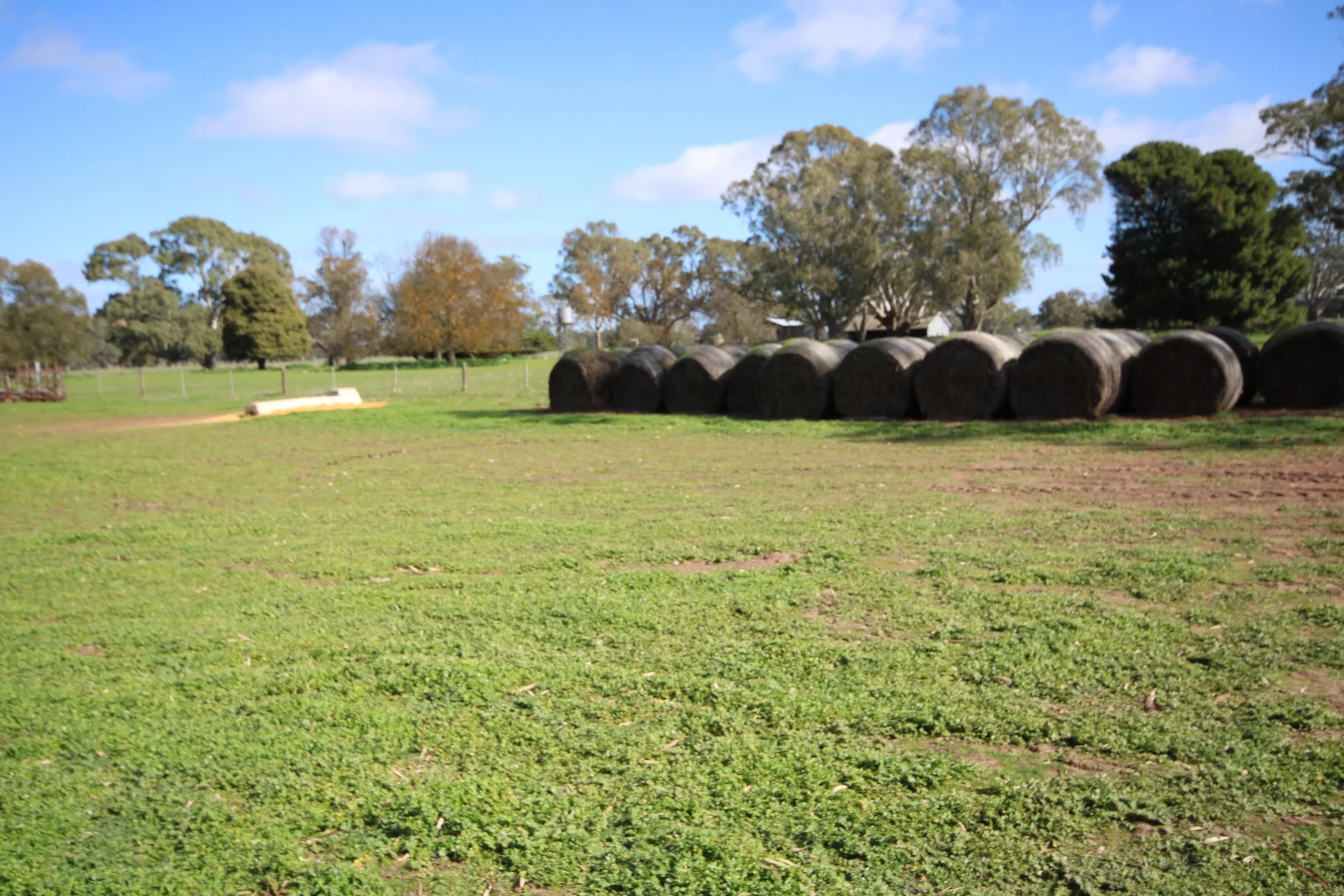 Additional image 18 of 202 Malones Road, Naracoorte SA 5271