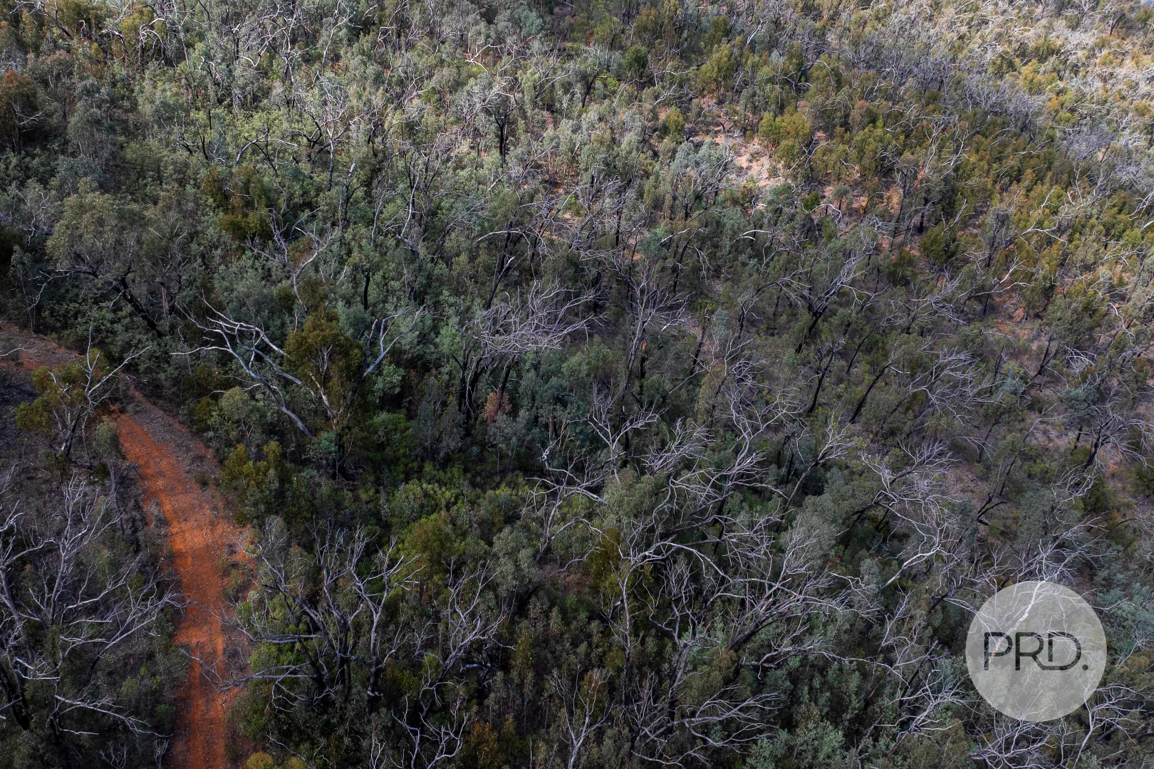 Additional image 56 of 294 Stewarts Road, Oberne Creek NSW 2650