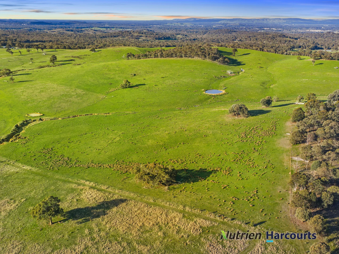 Additional image 19 of 250 Daisyburn Road, Hilldene VIC 3660