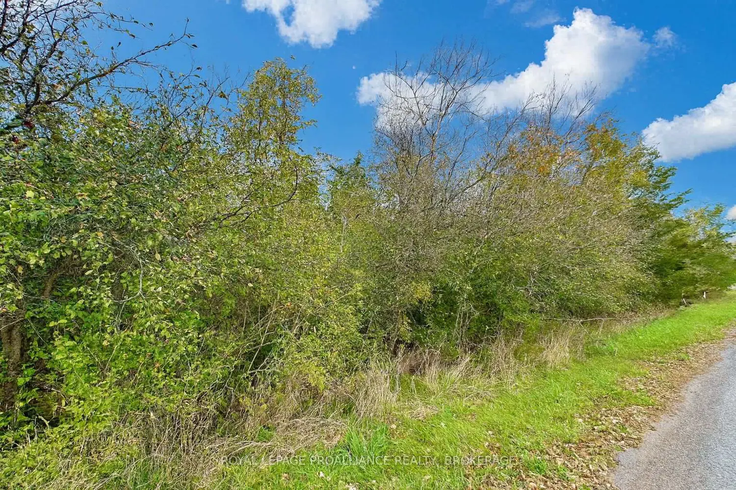 Additional image 5 of Lot 15 Martin Drive