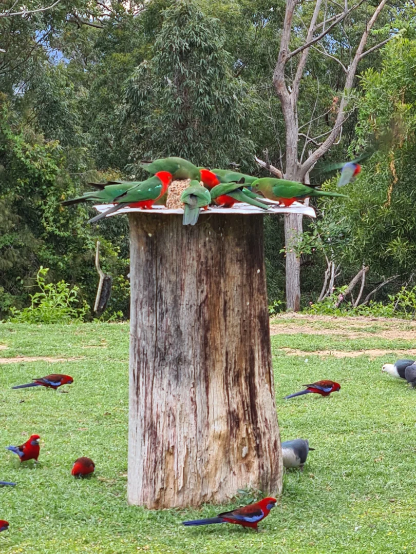 Additional image 13 of Mortons Creek NSW 2446