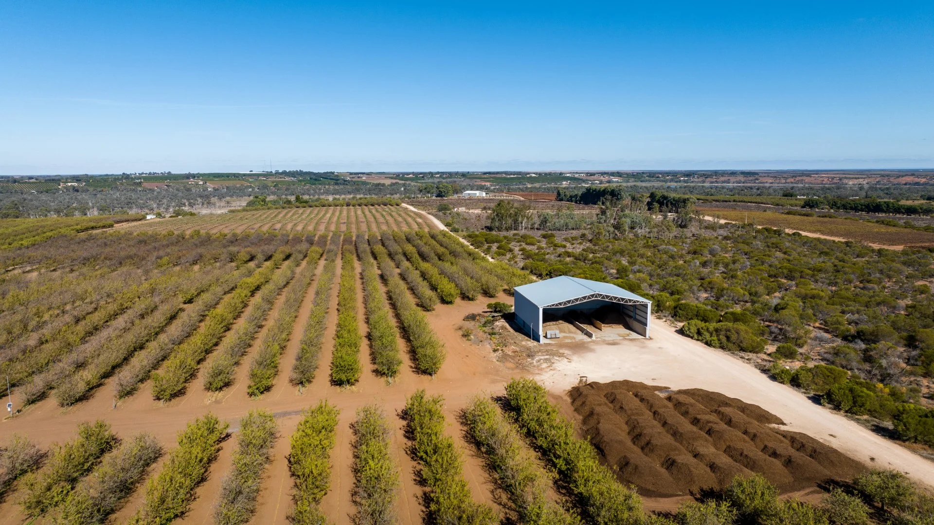 Additional image 6 of 3340 Low Darling Road, Wentworth NSW 2648