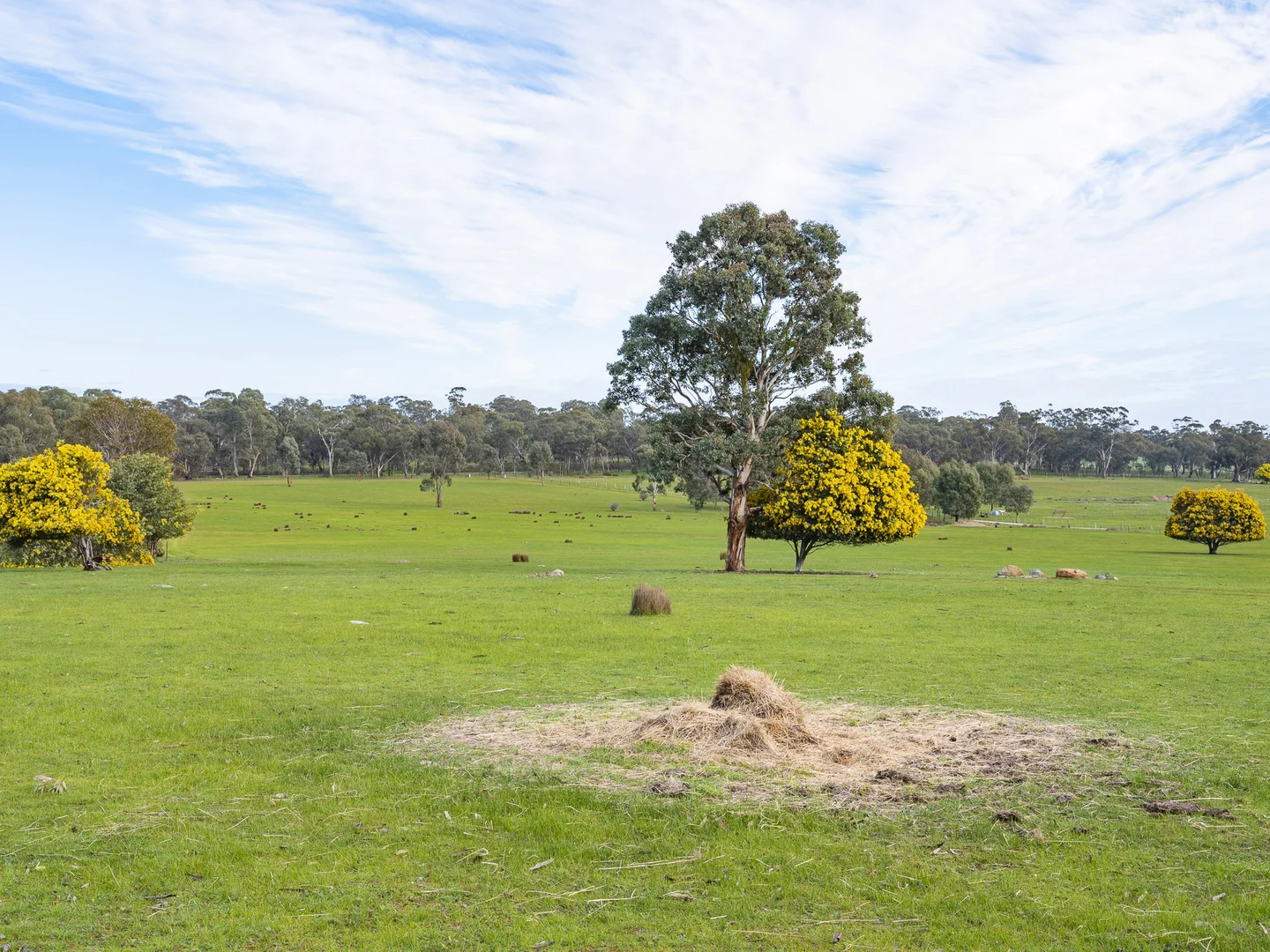 Additional image 20 of 474 Carisbrook - Eddington Road, Carisbrook VIC 3464