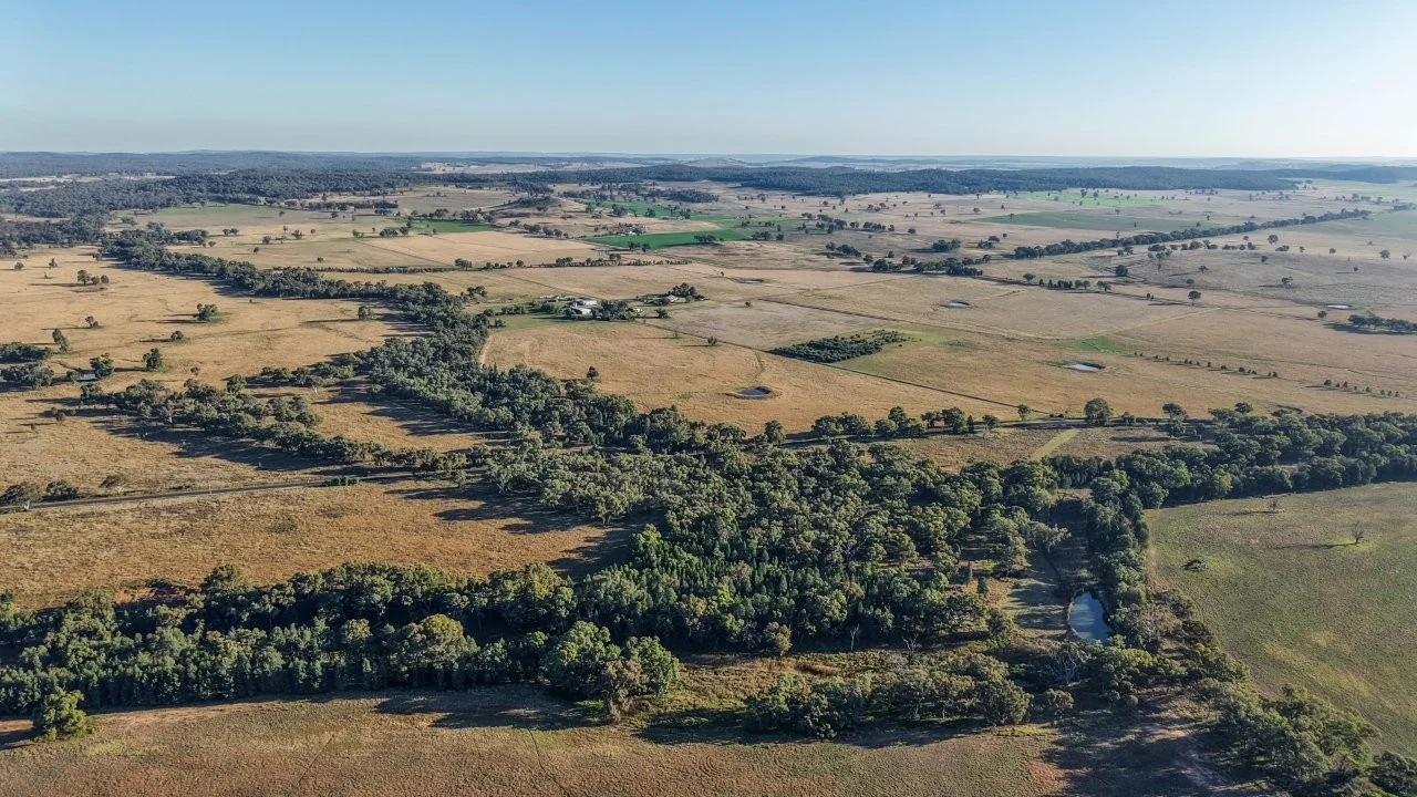 Additional image 22 of 3761 Neilrex Road, Neilrex NSW 2831