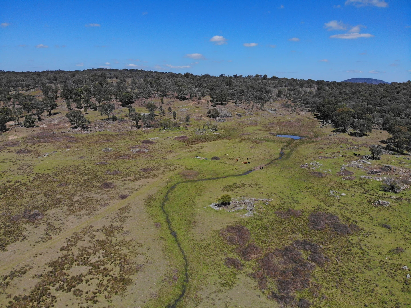 Additional image 6 of 404 New Valley Road, Inverell NSW 2360