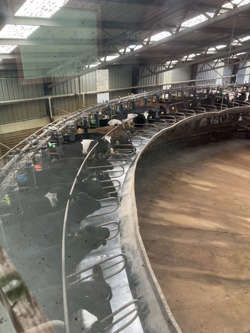 Additional image 17 of 301 Woolnorth Road, Woolnorth TAS 7330