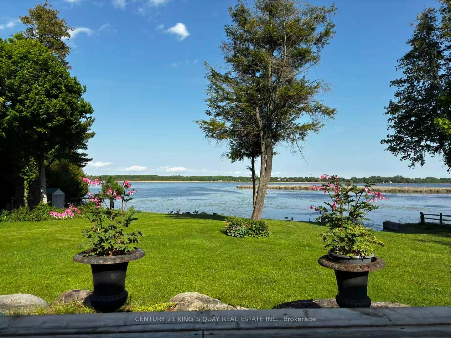 Additional image 4 of 143 Wispi Shore Road, Kawartha Lakes, ON, K9V 0K4