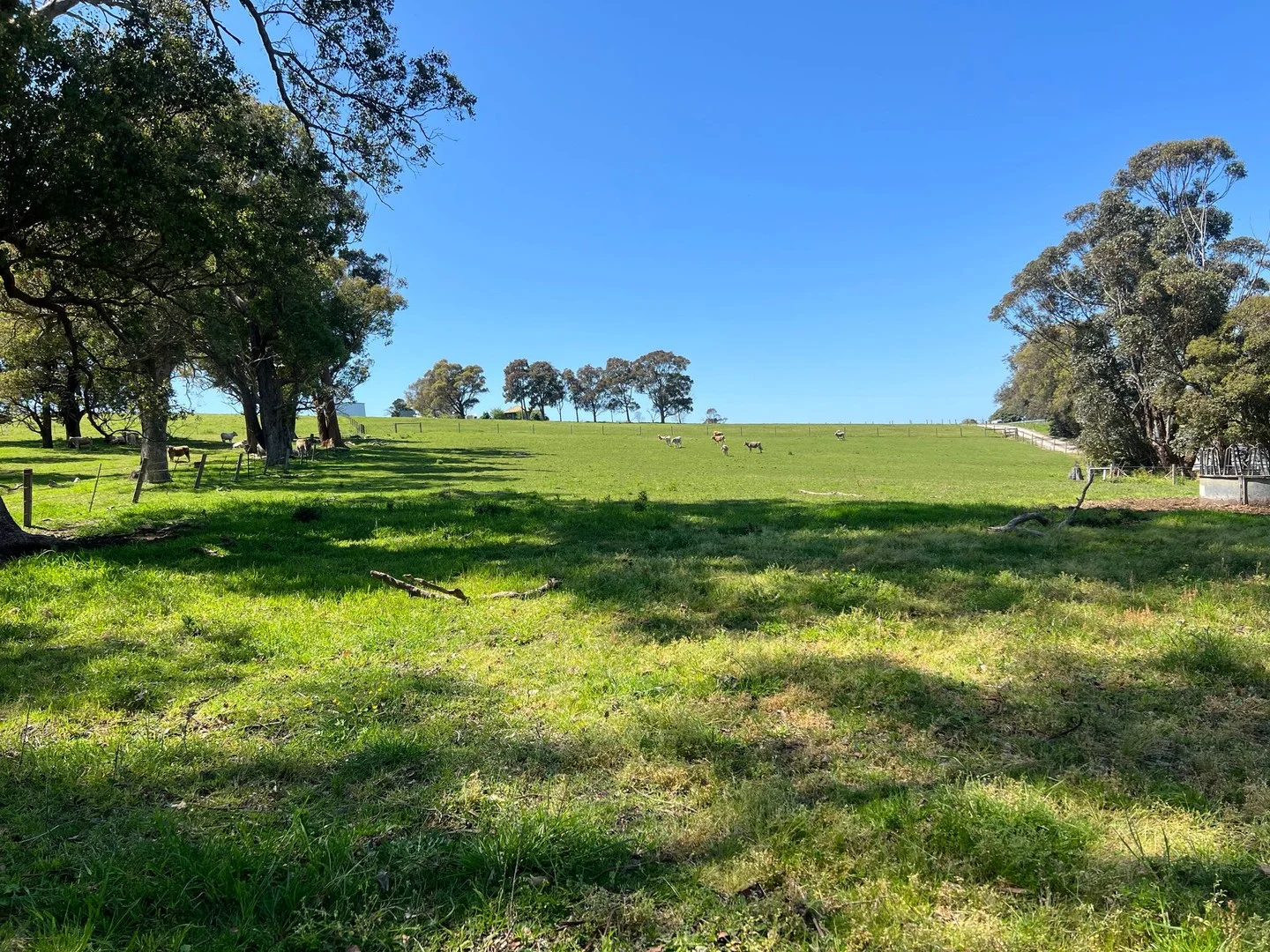 Lot 1, 389 Princes Highway, Orbost VIC 3888
