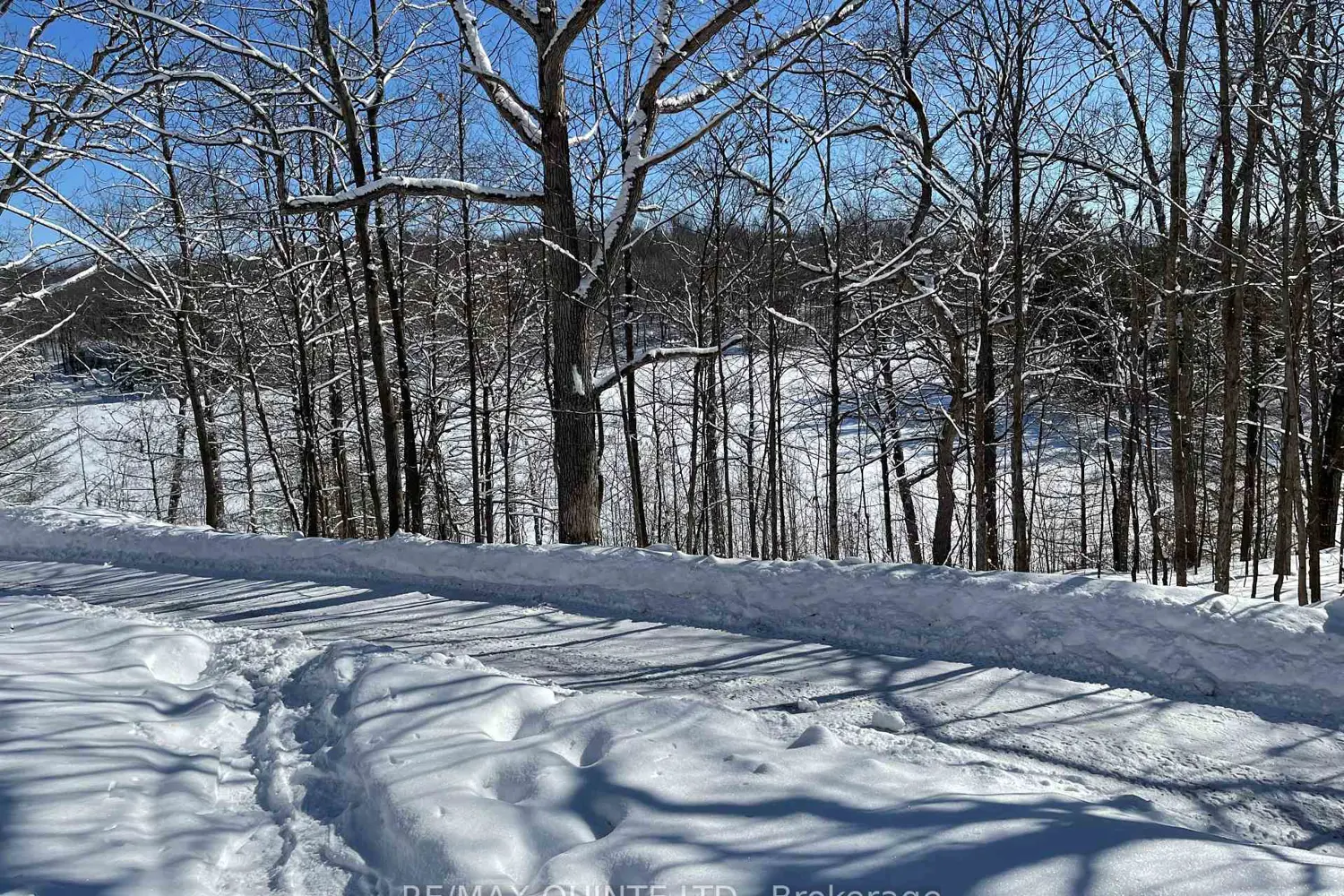 102 Attwood Lane photo 3