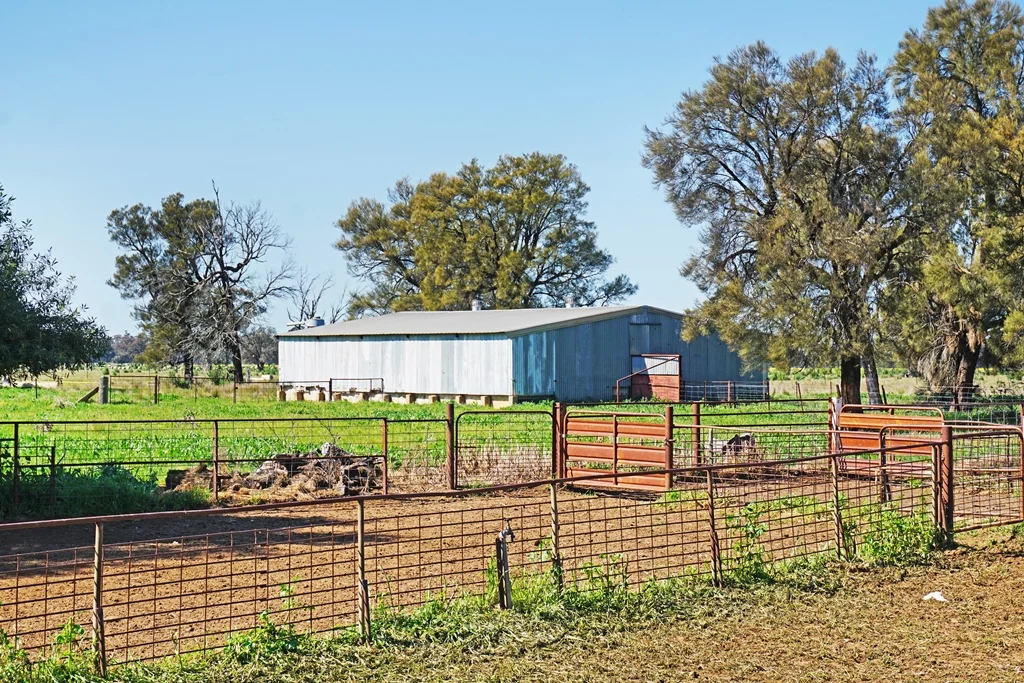 Additional image 20 of 594 Burrangong Lane, Bland NSW 2721