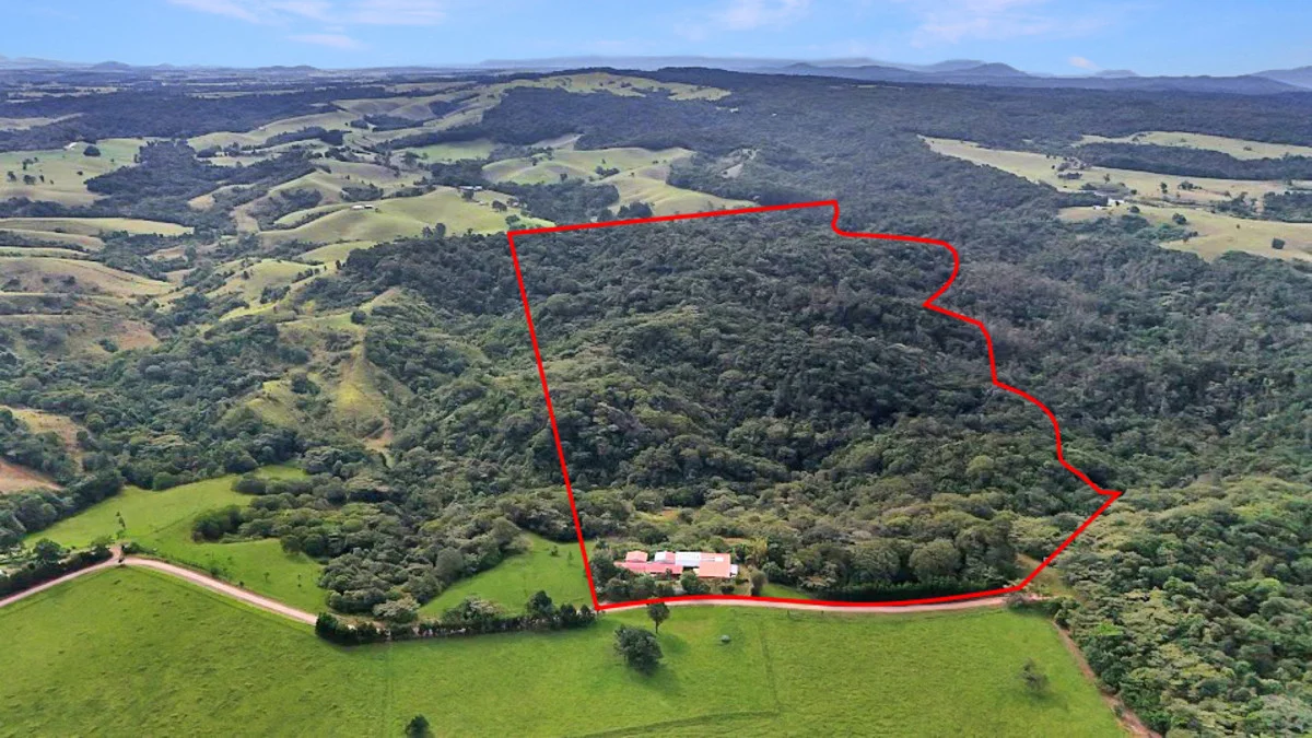 69 Wairambar Creek Road, Topaz QLD 4885