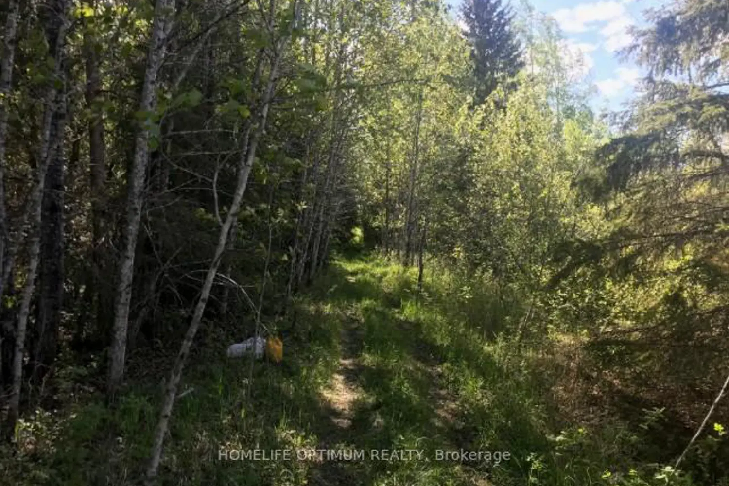 Additional image 4 of 75.25 Acres - Pcl 4952 N/A