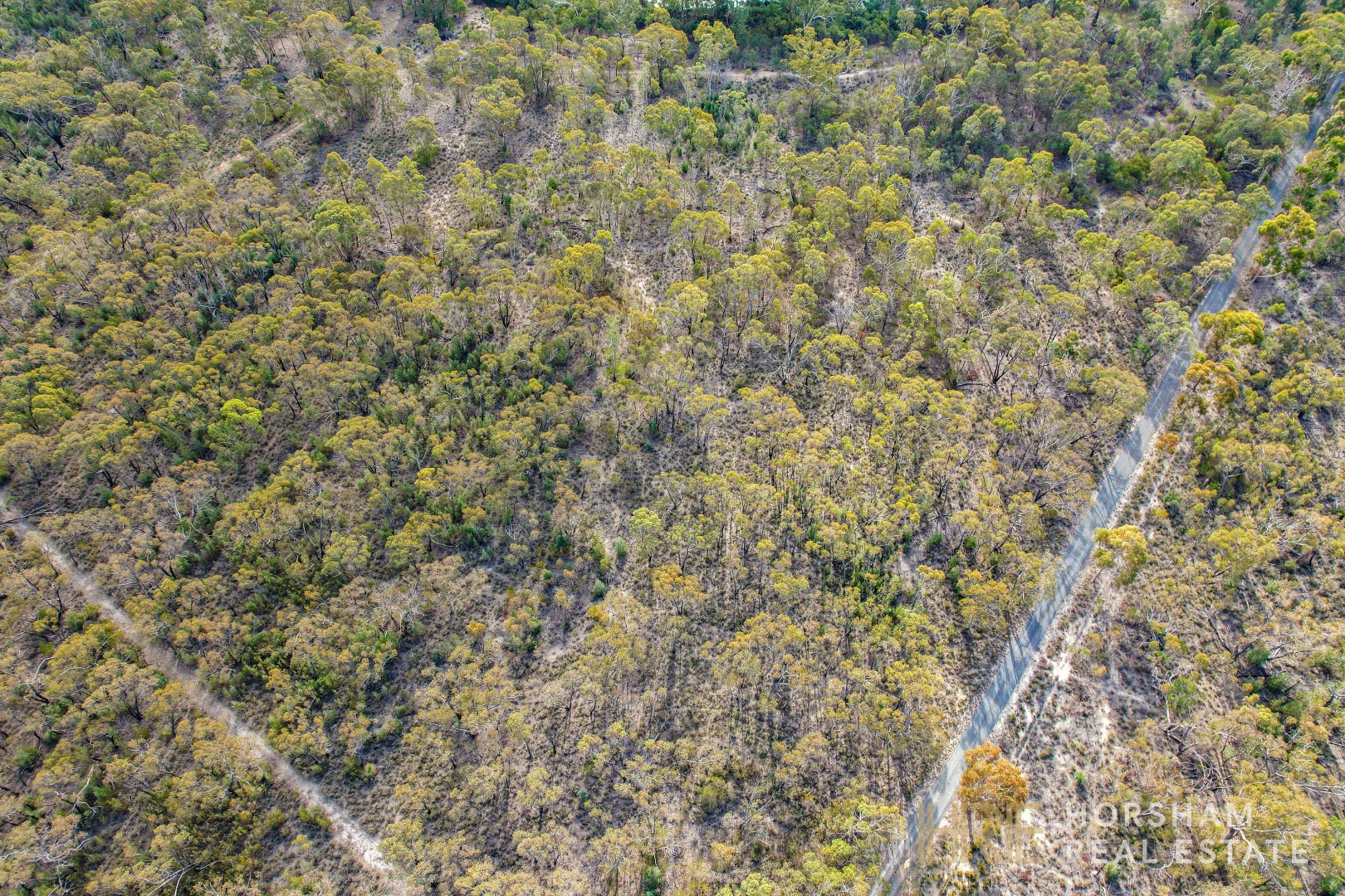 Additional image 31 of 542 Roses Gap Road, Dadswells Bridge VIC 3385