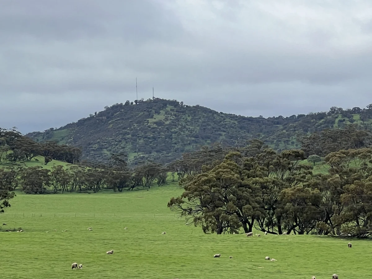 Additional image 11 of 76 Goomalling-Toodyay Road, Dumbarton WA 6566