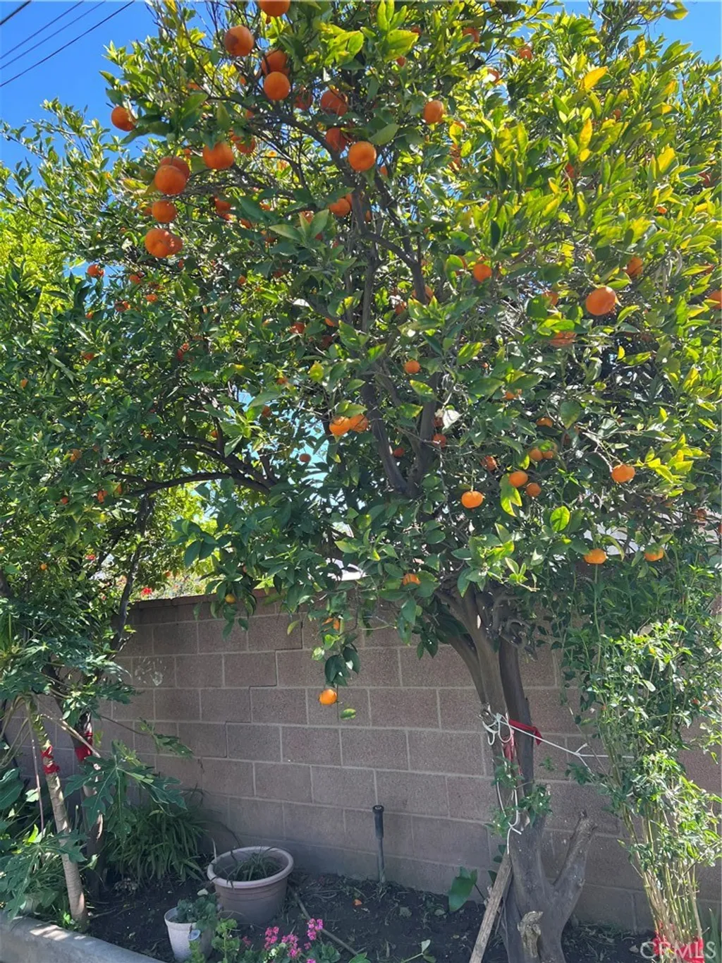 Additional image 46 of 11508 Old River School Road, Downey, CA 90241